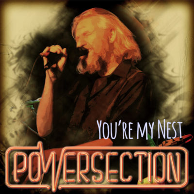 cover_youre_my_nest